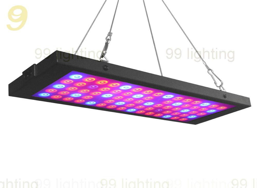 2019 New Patent Square 300W 300w 40w LED Plant Grow Light for Flower/Vegetable