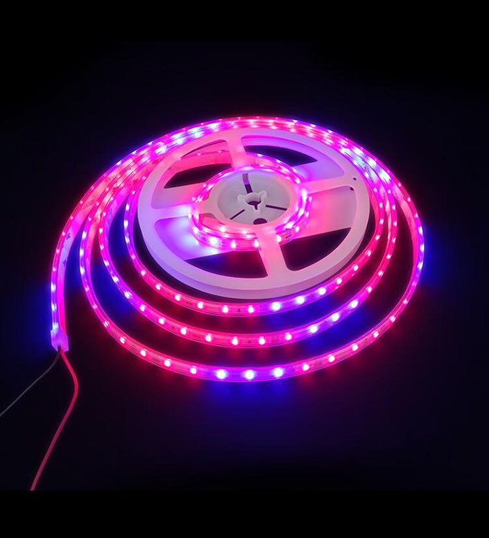  12V 5Meter Plant Growth LED Grow Light Strip RED:BLUE/660nm:460nm DC12V SMD2835 led  strip